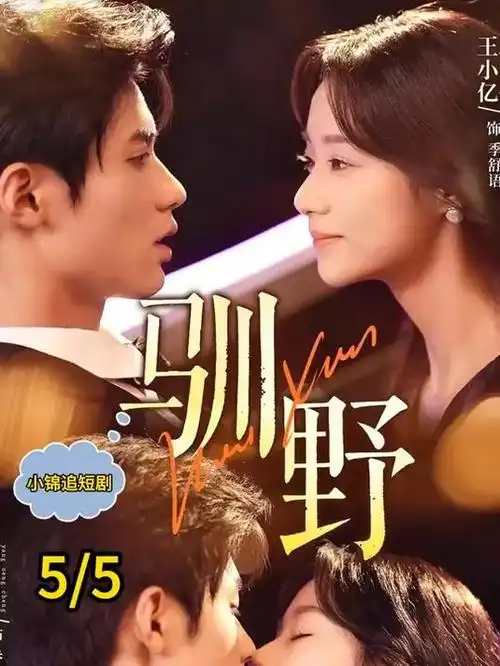 重生之我在县城当老板 红果短剧热播